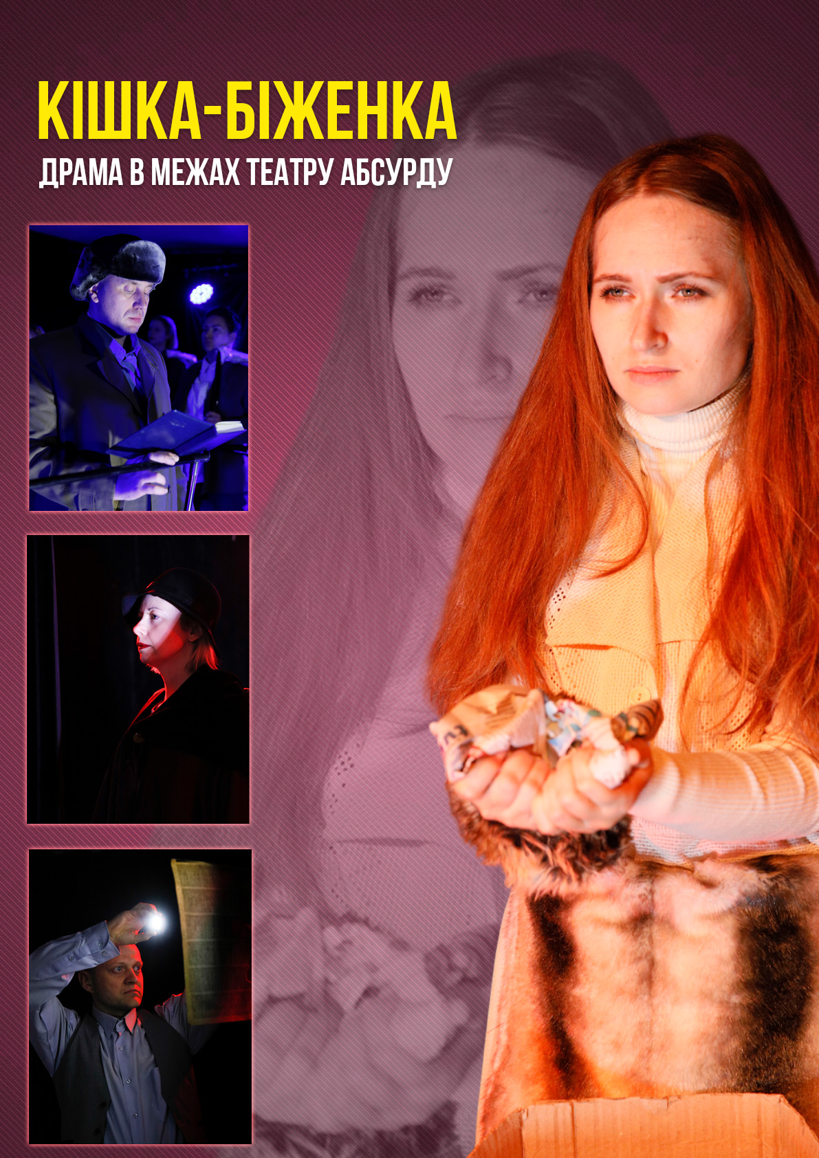 Кішка-біженка